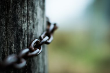 Alanında ıslak zincirleri