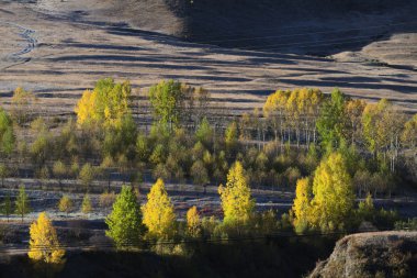 Xin du köprü manzara