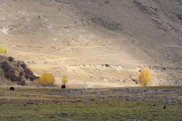 Xin du köprü manzara — Stok fotoğraf