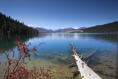 Cuopu hendek gündoğumu sahne