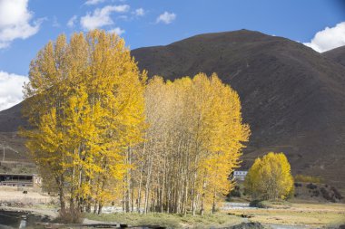 Xin du köprü manzara