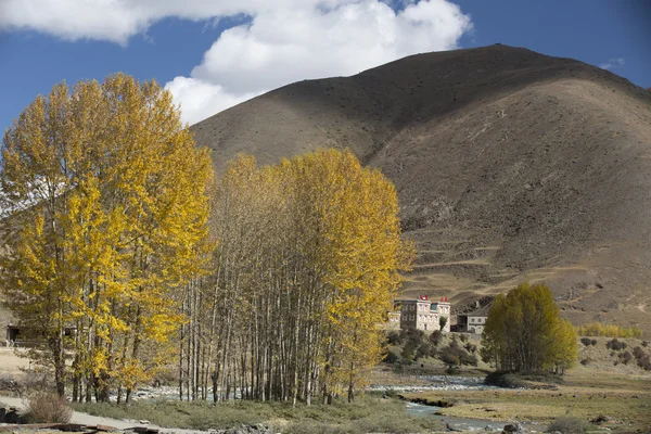 Xin du köprü manzara