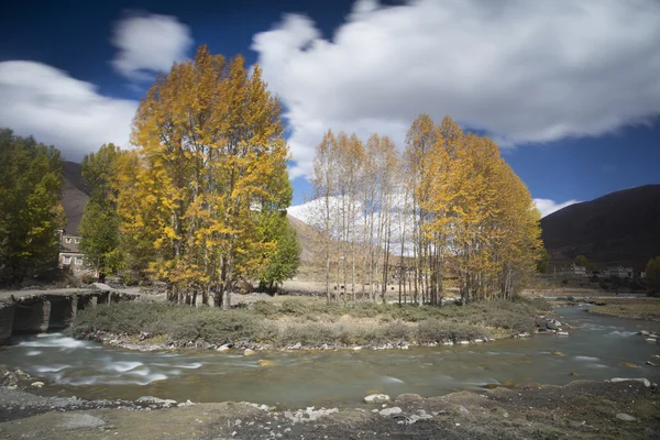 Xin du köprü manzara — Stok fotoğraf