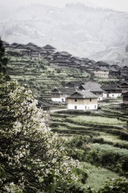 GUI zhou miao miao