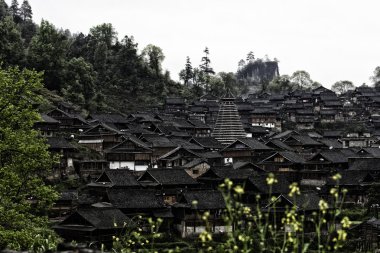 GUI zhou miao miao
