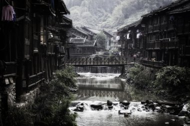 GUI zhou miao miao