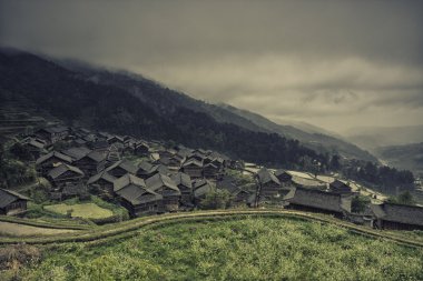GUI zhou miao miao
