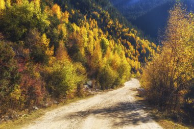 Çin Sichuan xindu Köprüsü, Inagi Aden, doğal sonbahar güzelliği