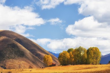 Çin Sichuan xindu Köprüsü, Inagi Aden, doğal sonbahar güzelliği