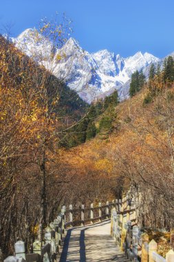 Çin Sichuan xindu Köprüsü, Inagi Aden, doğal sonbahar güzelliği