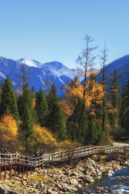 Çin Sichuan xindu Köprüsü, Inagi Aden, doğal sonbahar güzelliği