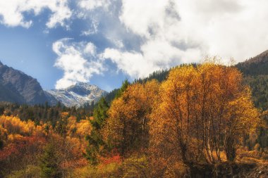 Çin Sichuan xindu Köprüsü, Inagi Aden, doğal sonbahar güzelliği
