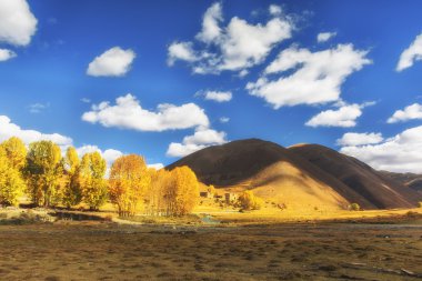 Çin Sichuan xindu Köprüsü, Inagi Aden, doğal sonbahar güzelliği