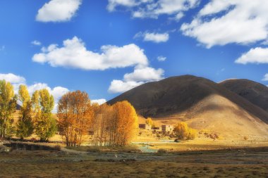 Çin Sichuan xindu Köprüsü, Inagi Aden, doğal sonbahar güzelliği
