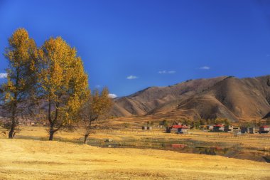 Çin Sichuan xindu Köprüsü, Inagi Aden, doğal sonbahar güzelliği