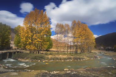 Çin Sichuan xindu Köprüsü, Inagi Aden, doğal sonbahar güzelliği