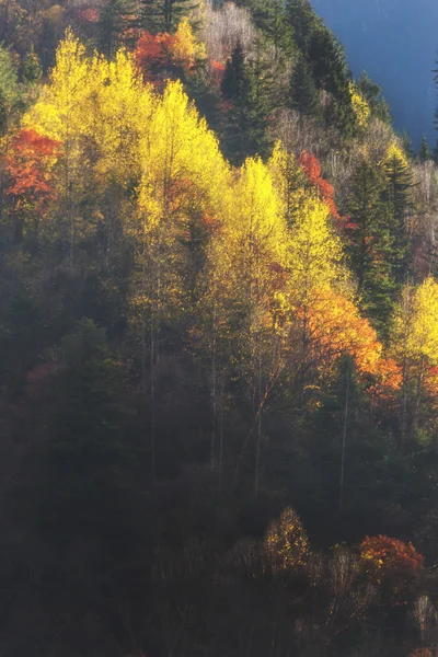 China, Sichuan xindu brug, Inagi Aden, herfst natuurschoon — Stockfoto