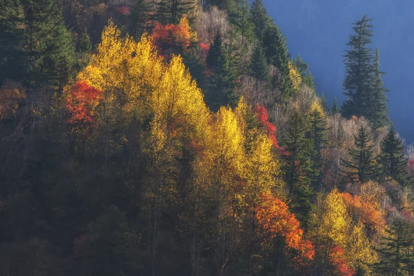 Cina ponte Sichuan xindu, Inagi Aden, bellezza paesaggistica autunno — Foto Stock