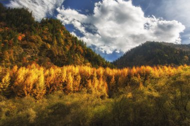 Çin Sichuan xindu Köprüsü, Inagi Aden, doğal sonbahar güzelliği