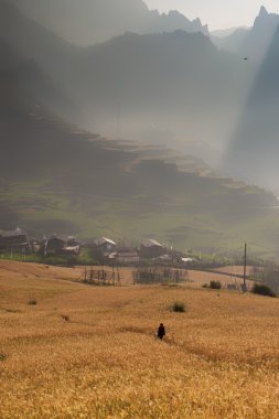 Gannan o sahne temel Dalma