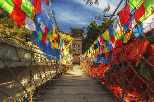 Tibete da China, Qinghai, Sichuan região de bandeiras de oração — Fotografia de Stock