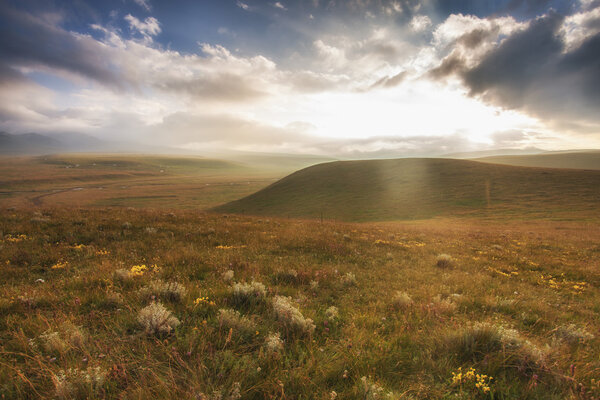 Травянистые пейзажи Тан Кэ
