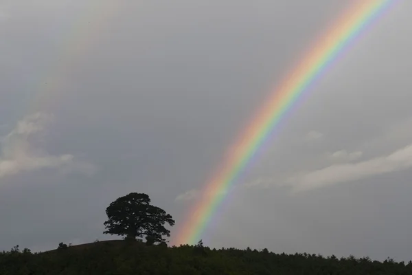 La escena de la montaña del arco iris — Foto de Stock