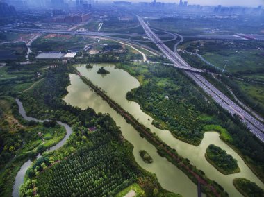 Çin Sichuan Chengdu Jinjiang İlçesi ak balıkçıl Adası sulak