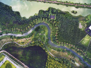 Çin Sichuan Chengdu Jinjiang İlçesi ak balıkçıl Adası sulak