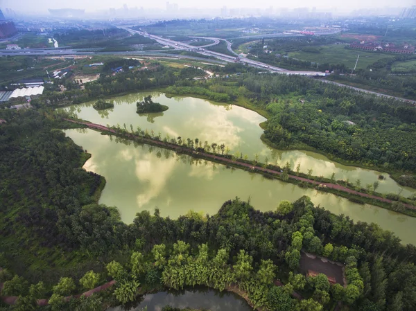 China Sichuan Chengdu Jinjiang District zilverreiger Island wetland — Stockfoto