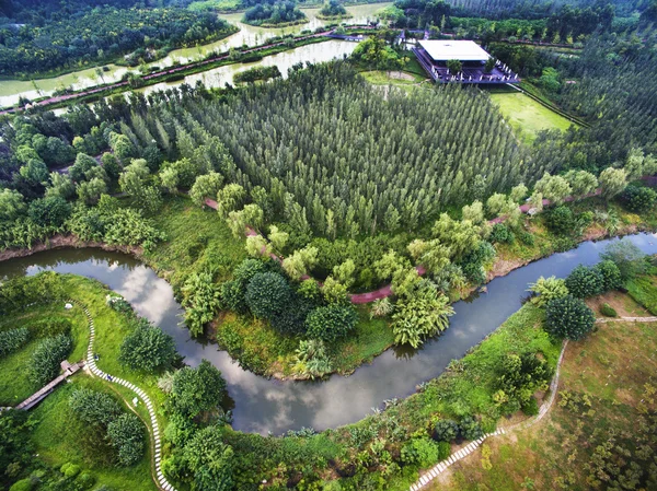 中国四川省成都錦江地区白鷺島の湿地 — ストック写真