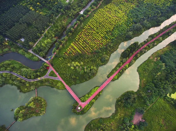 Chiny Sichuan Chengdu Jinjiang dzielnicy Egret wyspa podmokłych — Zdjęcie stockowe