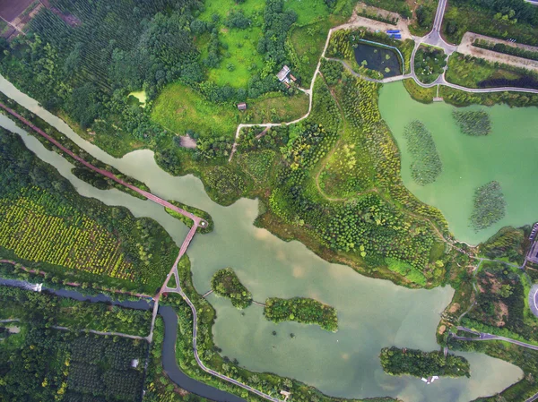 China Sichuan Chengdu Jinjiang District Egret Island zonas húmidas — Fotografia de Stock