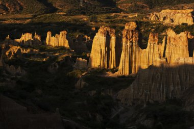 Toprak yuanmou County, Yunnan, Çin Grove