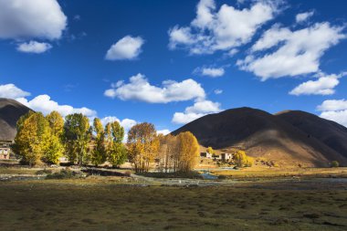 318 State Road, Sichuan Tibet satır bulunan Kangding şehir, Sichuan Tibet Özerk İli, Ganzi eyaleti Çin Xinduqiao, Kuzey bölgesinde
