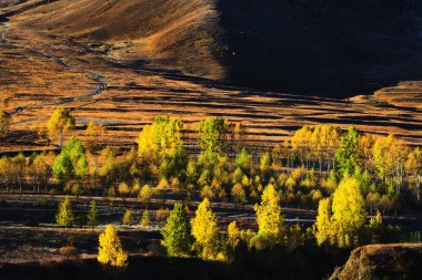 318 State Road, Sichuan Tibet satır bulunan Kangding şehir, Sichuan Tibet Özerk İli, Ganzi eyaleti Çin Xinduqiao, Kuzey bölgesinde