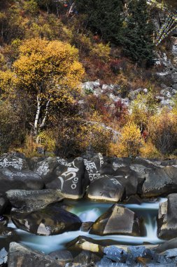 318 State Road, Sichuan Tibet satır bulunan Kangding şehir, Sichuan Tibet Özerk İli, Ganzi eyaleti Çin Xinduqiao, Kuzey bölgesinde