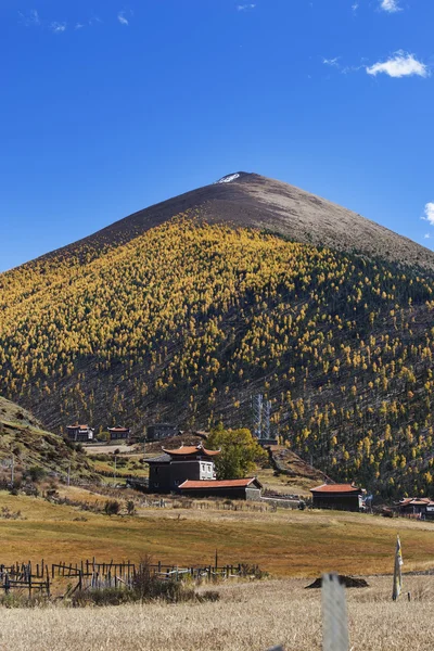 318 State Road, Sichuan Tibet satır bulunan Kangding şehir, Sichuan Tibet Özerk İli, Ganzi eyaleti Çin Xinduqiao, Kuzey bölgesinde — Stok fotoğraf