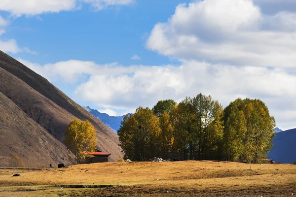 A Kangding város, Szecsuán tibeti autonóm prefektúra, Ganzi tartomány Kína a Xinduqiao 318 State Road, a Szecsuán tibeti sorban található nyugati régió — Stock Fotó