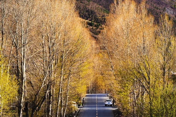 La región occidental de la ciudad de Kangding, prefectura autónoma tibetana de Sichuan, provincia de Ganzi China el Xinduqiao, situado en 318 State Road, la línea Sichuan Tibet — Foto de Stock