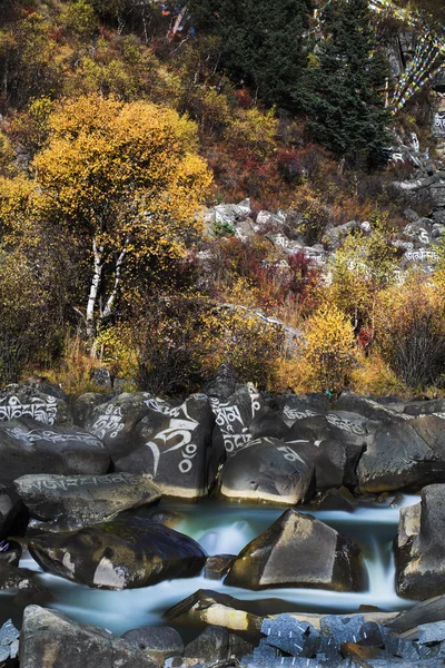 The western region of Kangding City, Sichuan Tibetan Autonomous Prefecture, Ganzi province China the Xinduqiao, located at 318 State Road, the Sichuan Tibet line — Stock Photo, Image