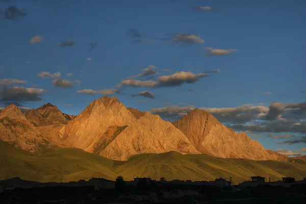 Lhasa sníh hora s '-čchuan Stock Fotografie