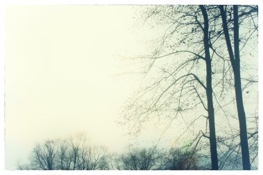 Doğa Çin, Sichuan Eyaleti, Chengdu Dayi County, imar depreminden sonra