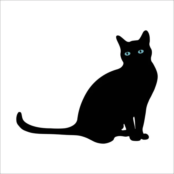 แมวส ตาส สวยงาม — ภาพถ่ายสต็อก