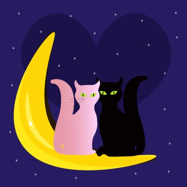   Aşık siyah ve pembe kediler 