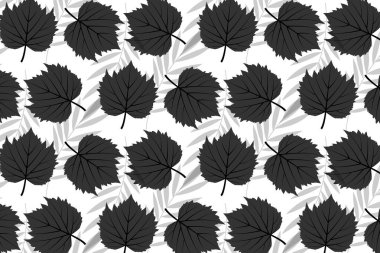 Güz siyah yaprakları düşen koyu vektör gri çizgiler beyaz arkaplan