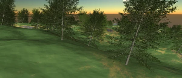 En bild av skogen med gröna träden på kullen — Stockfoto