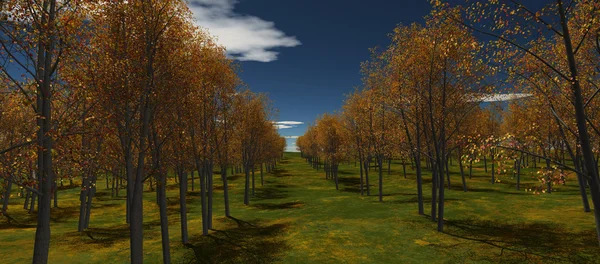 Vista de árvores de outono alinhadas em uma fileira — Fotografia de Stock