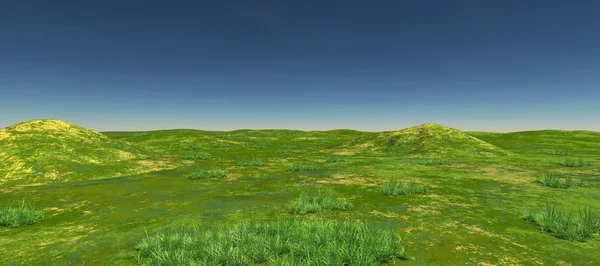 Zielone pola z dwóch wzgórz i zielony. W ciągu dnia. Latem — Zdjęcie stockowe