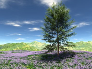 Çayır Hill bir ağaç